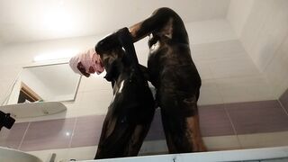 Amateur couple taking bath, hairy pussy wife, big ass, big tits.