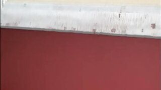 Blonde and brunette girls record while a handsome guy destroy their tight pussies