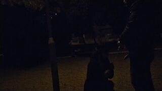 Mature slut gives outdoor blowjob with cum in mouth