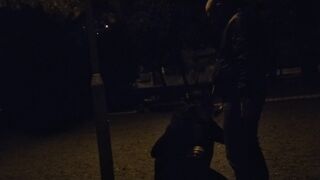Mature slut gives outdoor blowjob with cum in mouth
