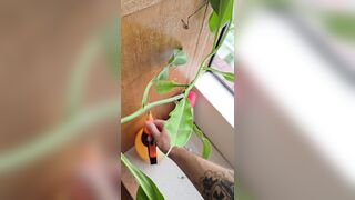 watering