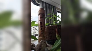 watering