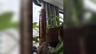 watering