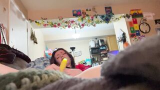 Moth is your roommate
