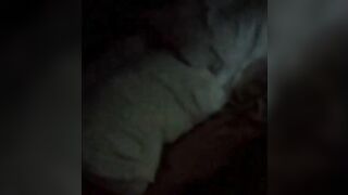 Spanking sexo oral y algunas escenas con la timida argentina