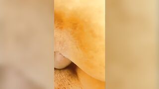 BBC with pulsing cock fucks the skinny girl and cums 3 times in a row